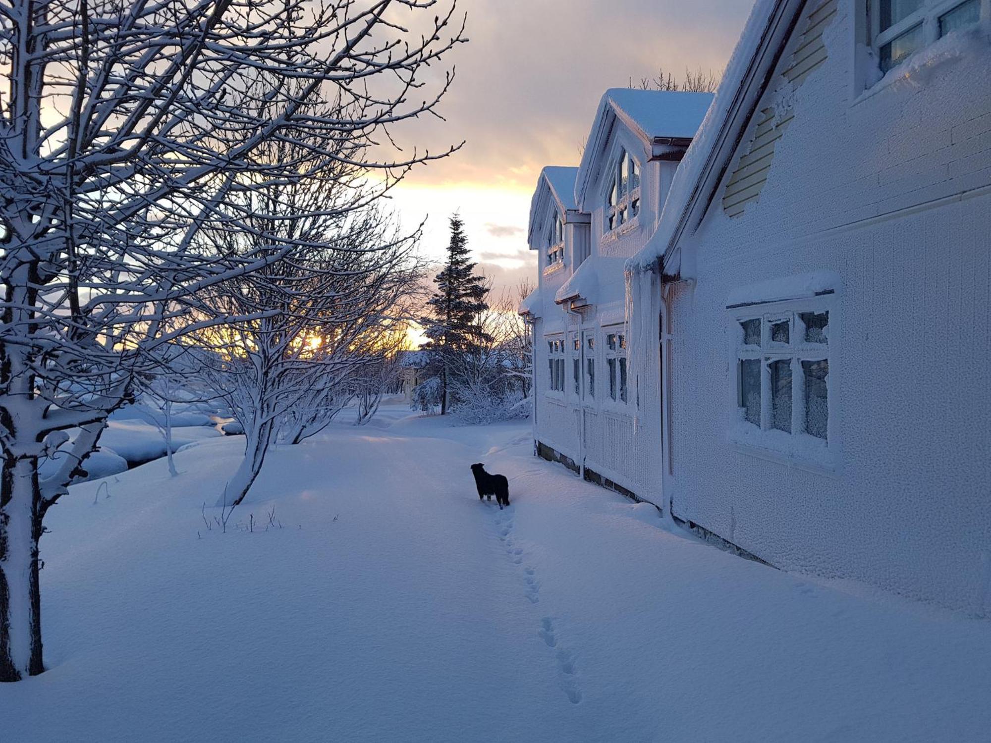 Mithhraun - Lava Resort Midhraun Eksteriør bilde