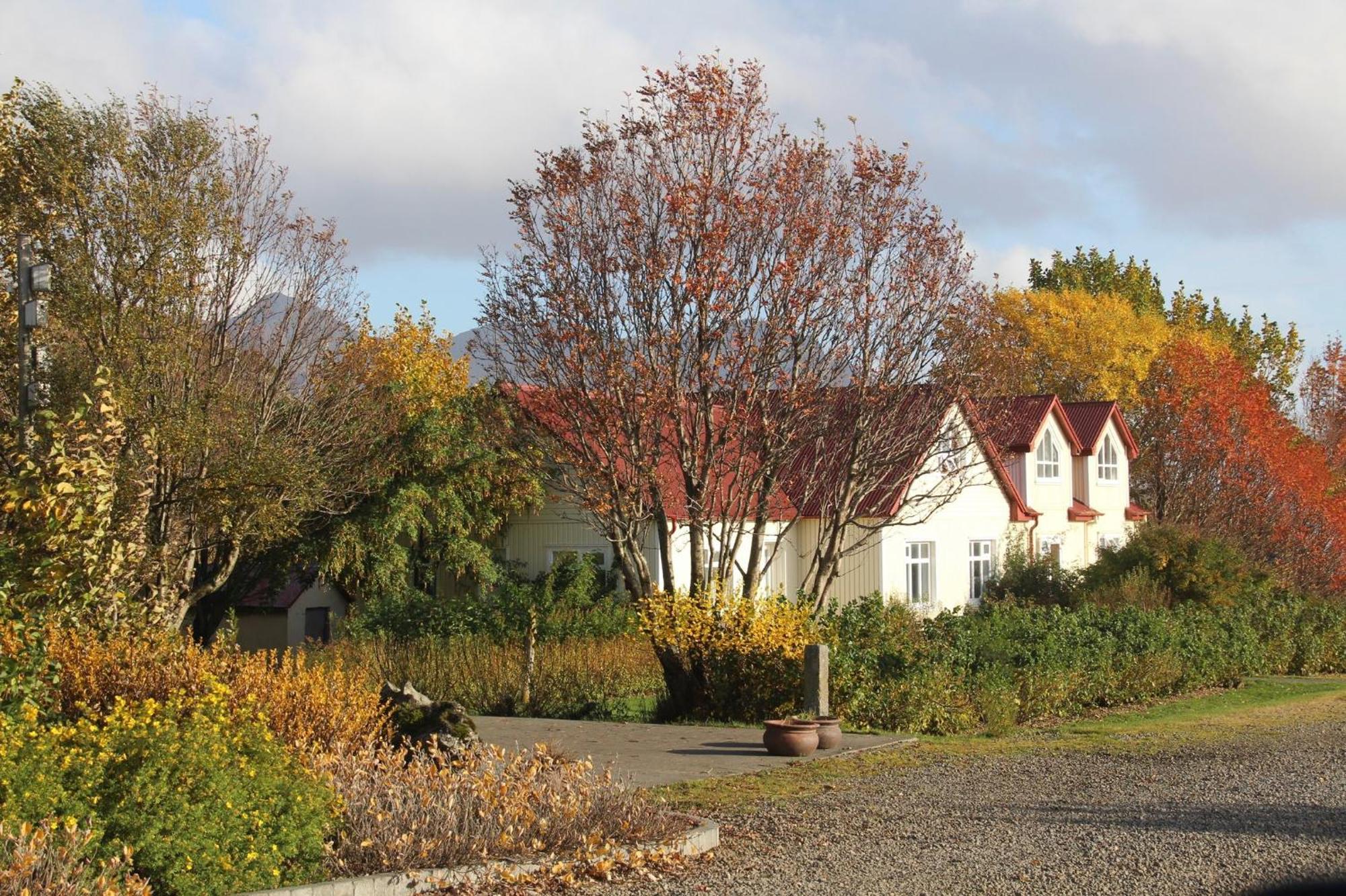 Mithhraun - Lava Resort Midhraun Eksteriør bilde